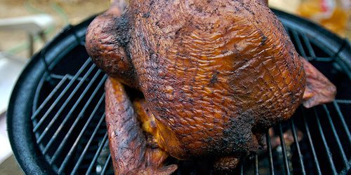 thanksgiving-turkey