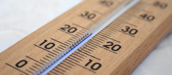 investment-performance