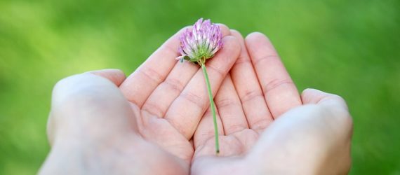 charities-that-deserve-donations