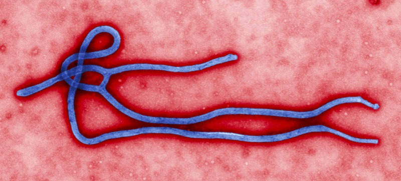 ebola-investing-risk