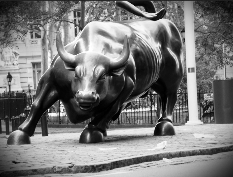 charging-bull-market-aging