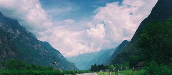 expanding-vista-profits-returns