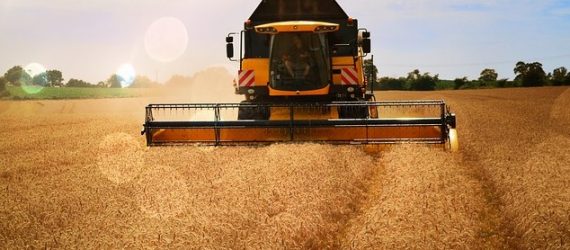 tax-tips-tax-loss-harvesting