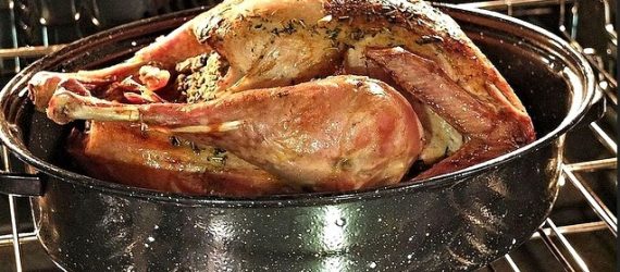 turkey-stuffing-portfolio