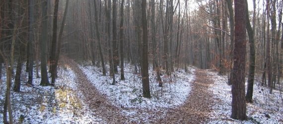 political-crossroads-investing