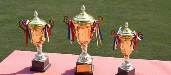 Investment-adviser-winner