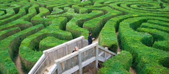 bond-market-maze