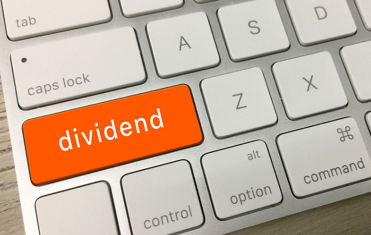 dividends