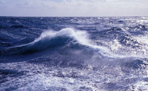 2022 Outlook: Big waves loom