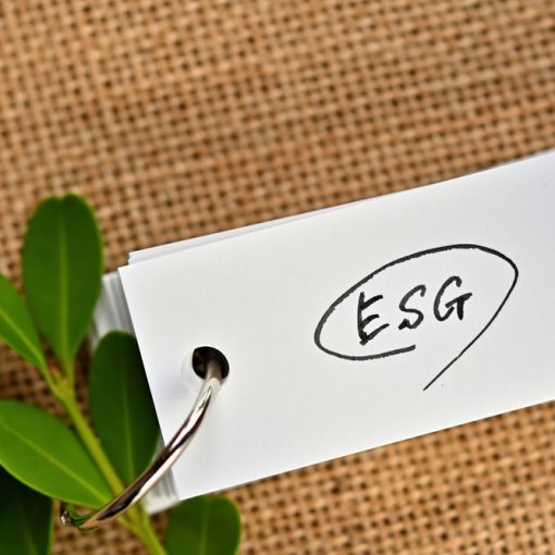 This is a picture of leaves next to a word book with ESG written in it