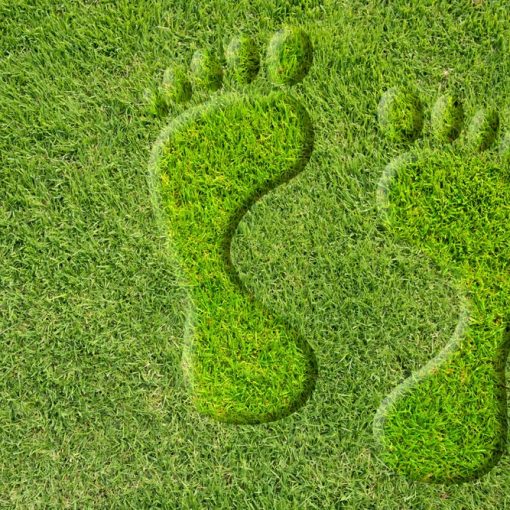 This is a picture of footprints in green grass