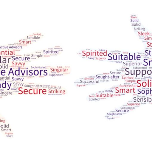 This word art shows all the S-adjectives that describe Interactive Advisors