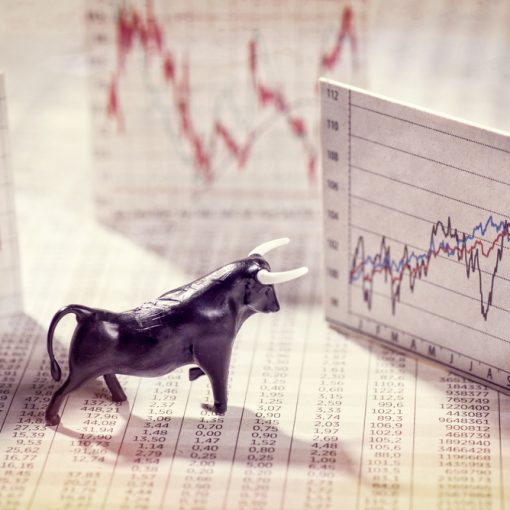 The image shows a figure of bull with data and charts