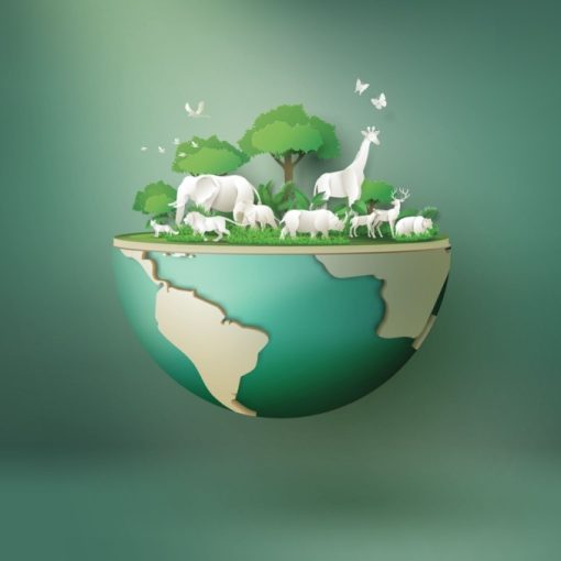 The image shows biodiversity on earth