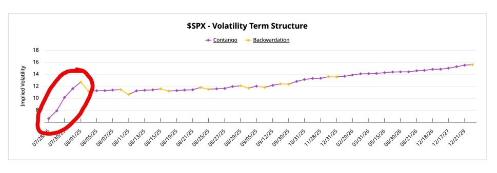 Chart shows Volatility Term Structure