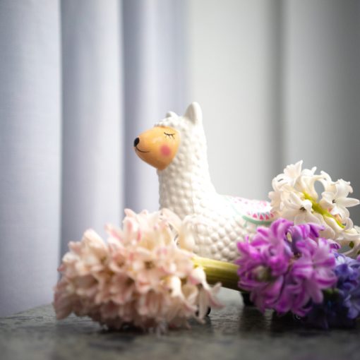 The image shows a llama money box