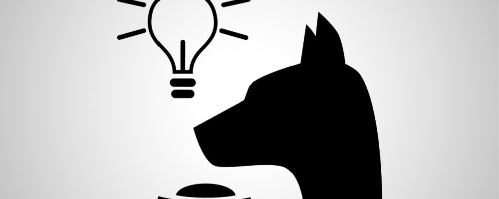 An image of Pavlov's dog from experiment