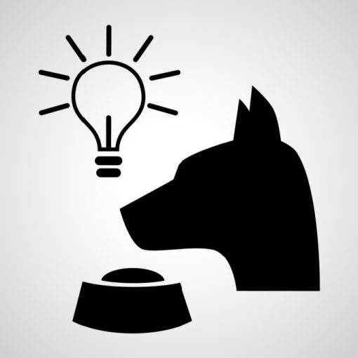An image of Pavlov's dog from experiment