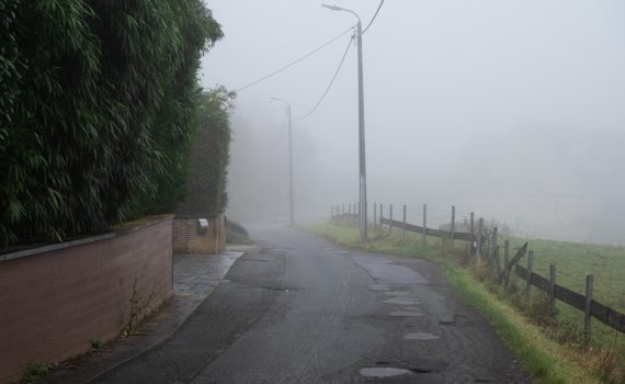 Foggy Roads and Policy Potholes