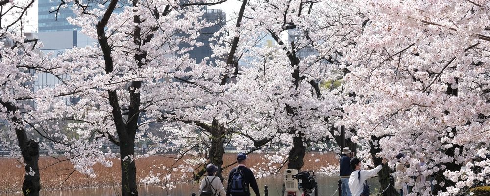 The image shows people in Japan enjoying nature