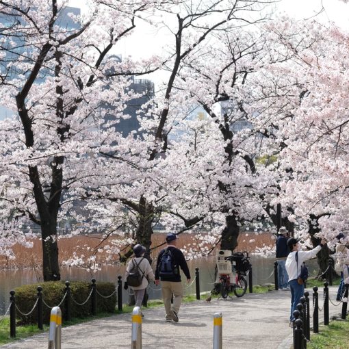 The image shows people in Japan enjoying nature