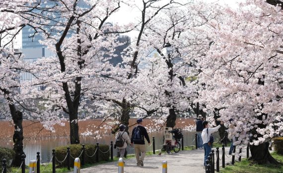 The image shows people in Japan enjoying nature