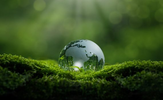 Ascending From The Plateau?