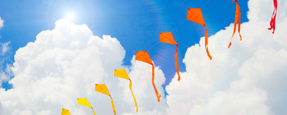 The picture shows Kites Flying High in Sky