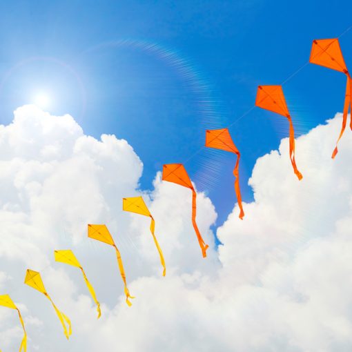 The picture shows Kites Flying High in Sky