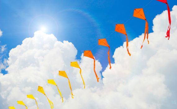 The picture shows Kites Flying High in Sky
