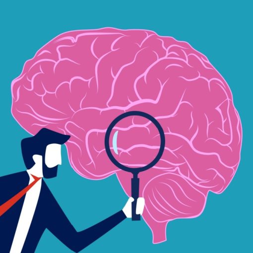 Searching Brain Information