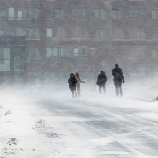 The image shows people in a Snow and Wind Storm