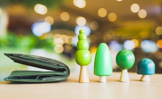 Green trees next to wallet representing sustainability